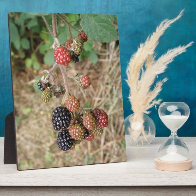 Blackberry Bonanza Plaque (Side)