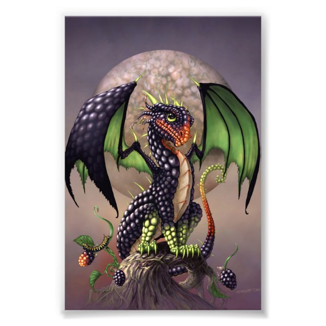 Blackberry Dragon 4x6 Print (Front)