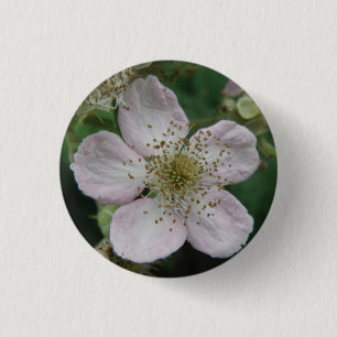 Blackberry Flower Macro Button