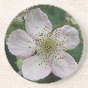Blackberry Flower Macro Coasters
