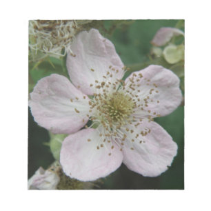 Blackberry Flower Macro Notepad