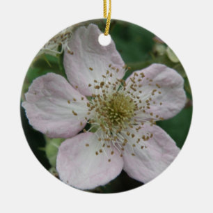 Blackberry Flower Macro Ornaments