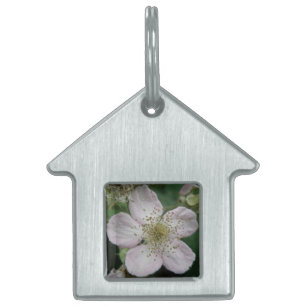 Blackberry Flower Macro Pet Tag