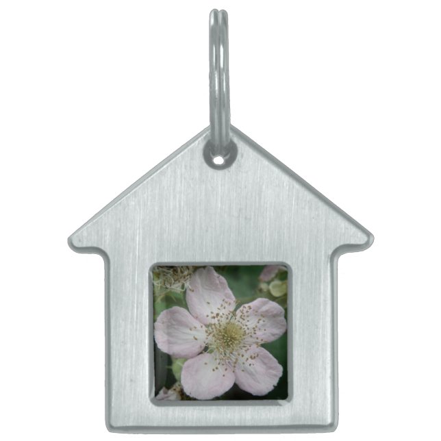 Blackberry Flower Macro Pet Tag (Front)
