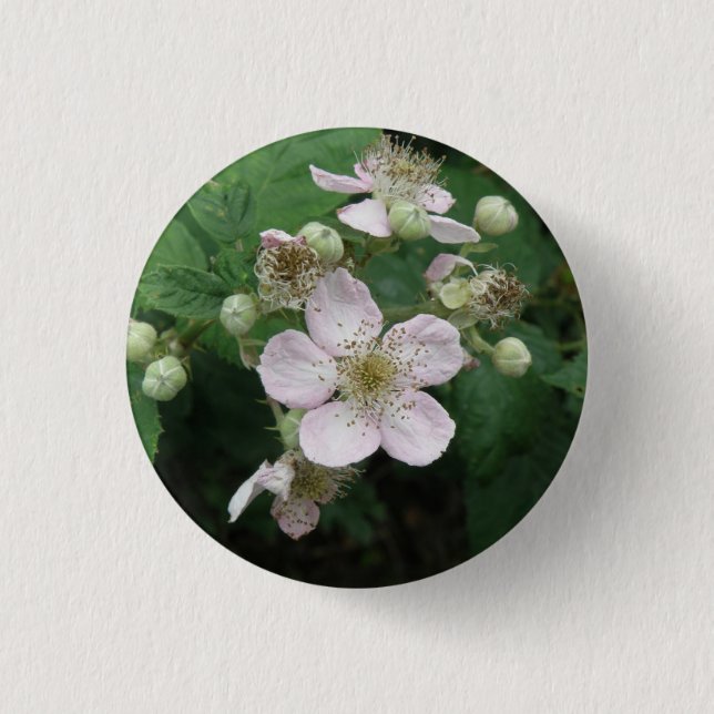 Blackberry Flowers Button (Front)