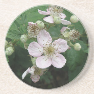 Blackberry Flowers Coasters