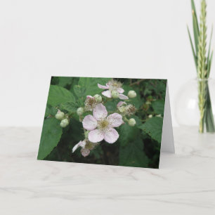 Blackberry Flowers Custom Greeting Card