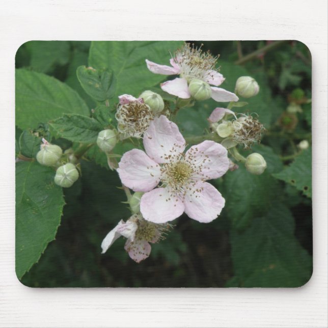 Blackberry Flowers Mousepad (Front)