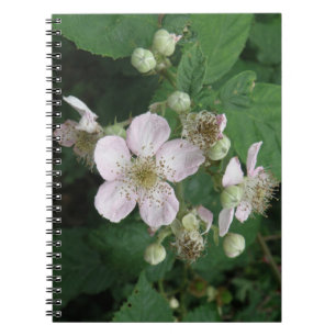 Blackberry Flowers Notebook
