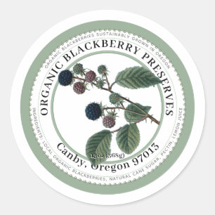 Blackberry Jam Vintage Blackberry Illustration Classic Round Sticker