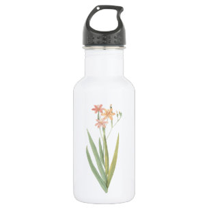 blackberry lily(Belamcanda chinensis) by Redouté 532 Ml Water Bottle