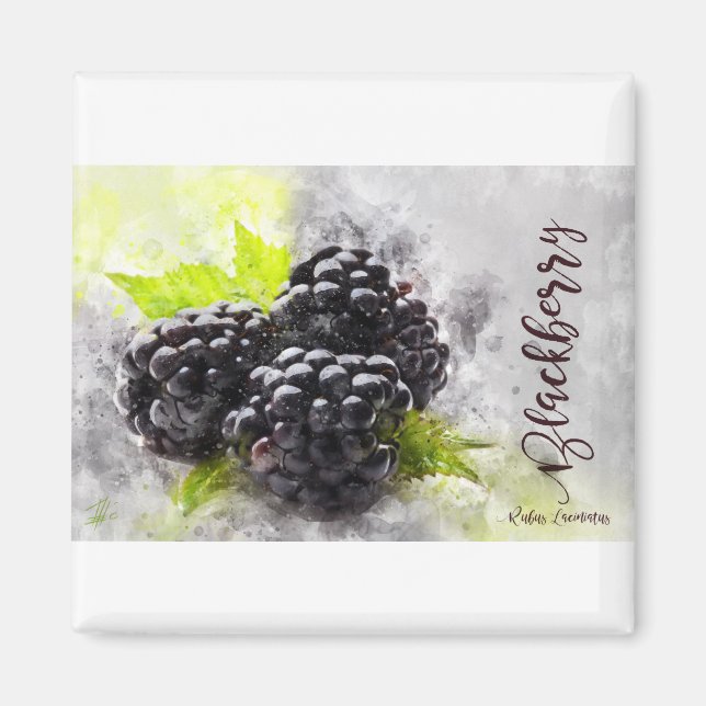 Blackberry Magnet (Front)