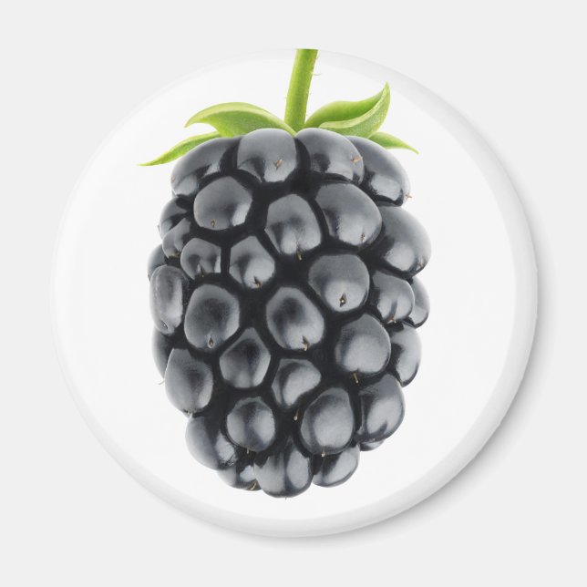 Blackberry Magnet (Front)