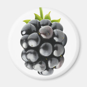 Blackberry Magnet