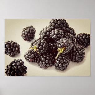 Blackberry Photo. Buy Now Poster