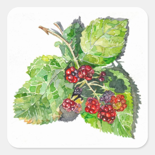 BlackBerry Square Sticker (Front)