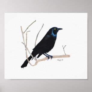 Blackbird 8x10 Print