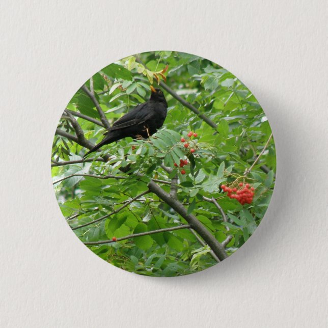 Blackbird and Berries Button (Front)