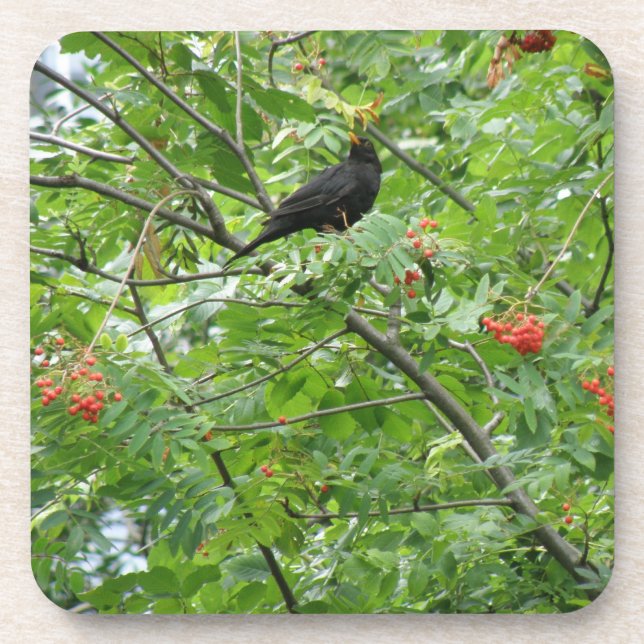 Blackbird and Berries Cork Coaster (Front)