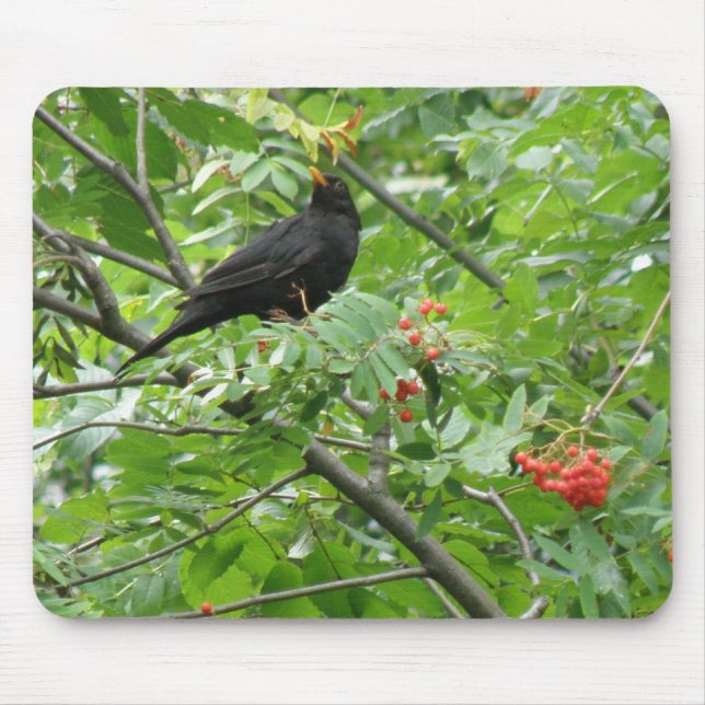 Blackbird and Berries Mousepad (Front)