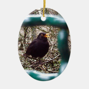 Blackbird behind bars, Animal, Birds, Black Bird Ceramic Ornament