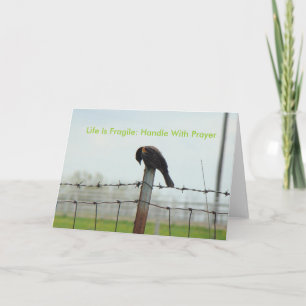 Blackbird Bowed, Life Is Fragile: Handle With P... Card