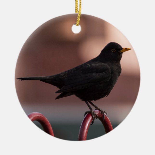 Blackbird Ceramic Tree Decoration (Front)