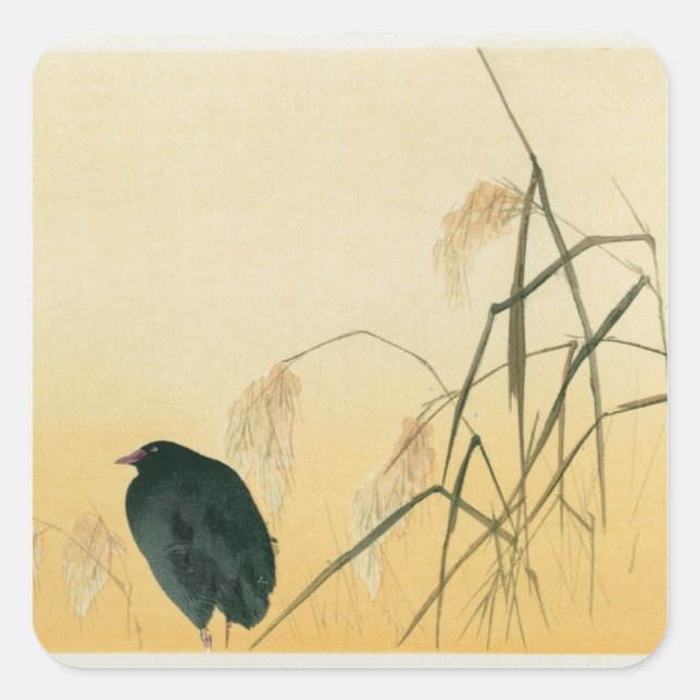 Blackbird, Edo Period Square Sticker (Front)