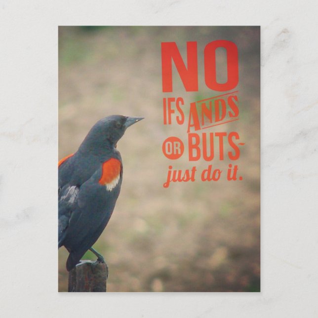 Blackbird Encouragement Postcard (Front)