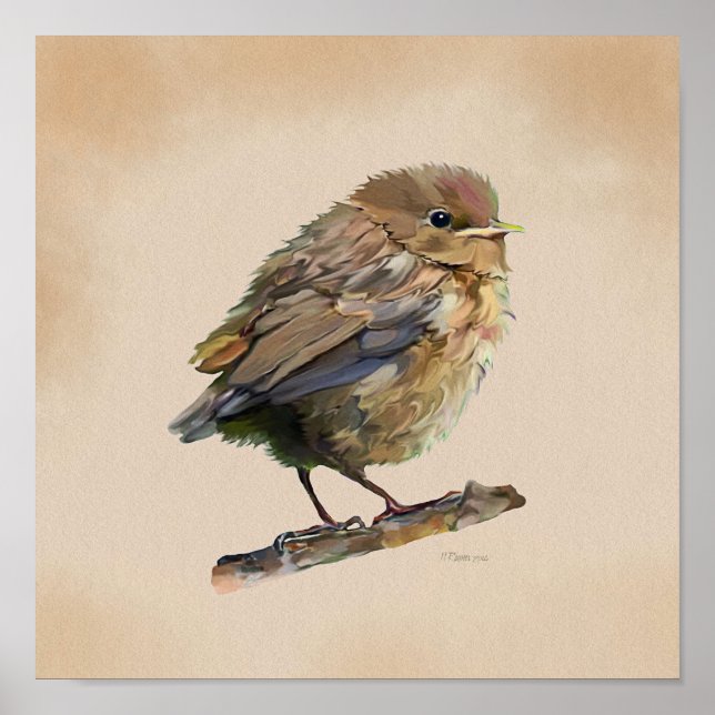 Blackbird Fledgling` Poster (Front)