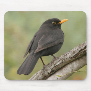 Blackbird Mouse Pad