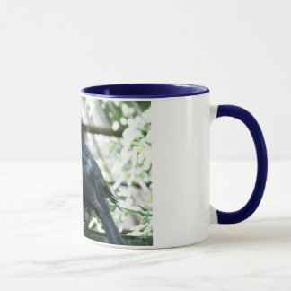 Blackbird Mug #2