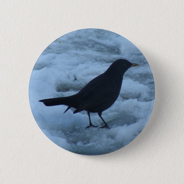 Blackbird on ice Button (Front)