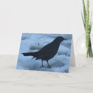 Blackbird on ice Greeting Card