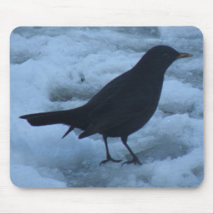 Blackbird on ice Mousepad