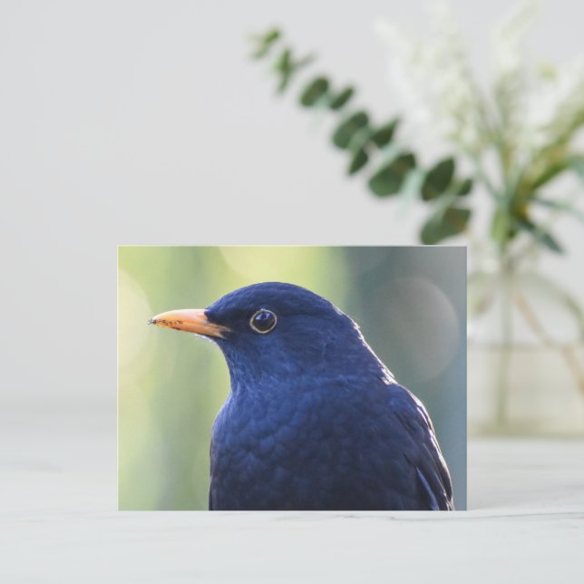 Blackbird Postcard (Standing Front)