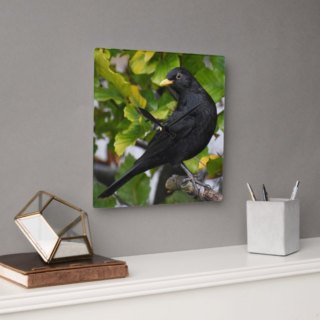 Blackbird  square wall clock (Office)