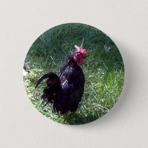 Blackbird the Black Rooster 6 Cm Round Badge