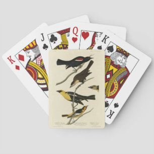Blackbirds and Oriole, Audubon's Birds of America Playing Cards