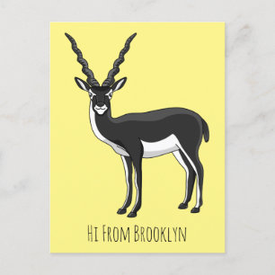 Blackbuck antelope illustration postcard