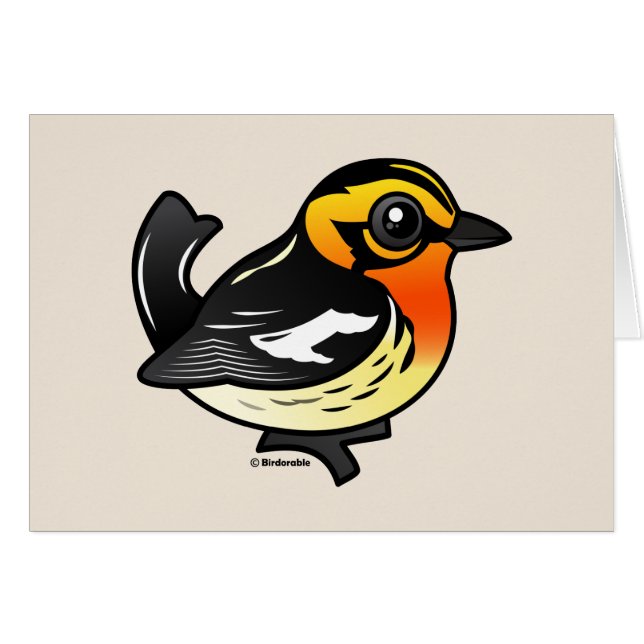 Blackburnian Warbler (Front Horizontal)