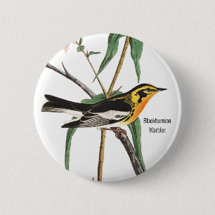 Blackburnian Warbler, Audubon, Wildlife Birder, 6 Cm Round Badge