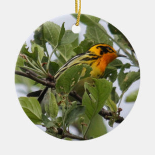 Blackburnian Warbler Ceramic Tree Decoration