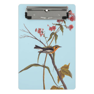 Blackburnian Warbler Vintage Audubon Songbird Art Mini Clipboard