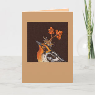 blackburnian warbler  with pyracantha card