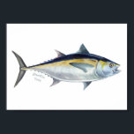 Blackfin Tuna fish poster. Poster<br><div class="desc">A blackfin Tuna fish poster. The print is taken from an original acrylic painting by Devon based artist E.Wrigley of ELCDesign.</div>
