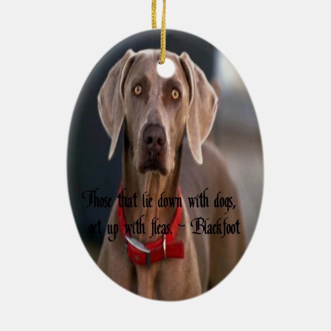 Blackfoot Quote American Indian proverb Ceramic Tree Decoration (Back)