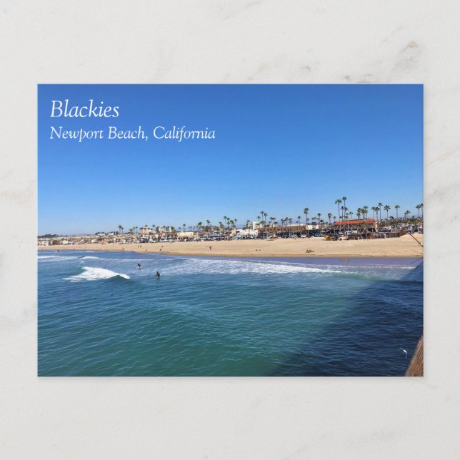Blackies, Newport Beach, California Postcard (Front)