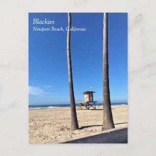 Blackies, Newport Beach, California Postcard