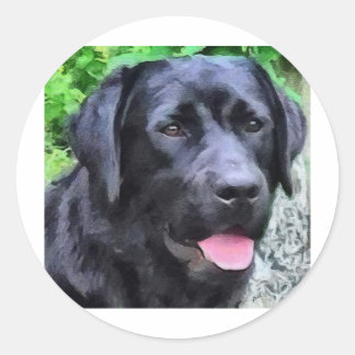 blackLabRizoFull.jpg Classic Round Sticker